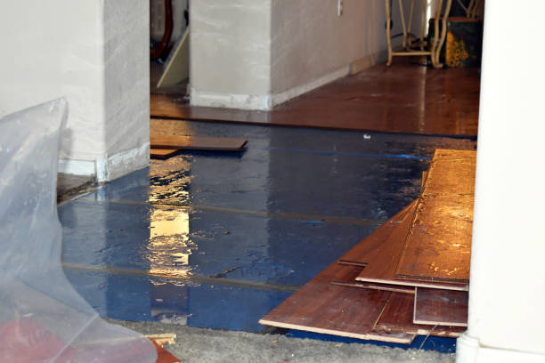 Professional Burst Pipe Cleanup technician working in Danbury, TX